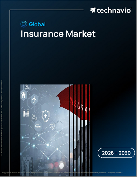 表紙：保険の世界市場 2026年～2030年