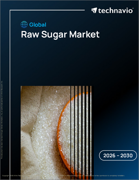 表紙：粗糖の世界市場 2026年～2030年