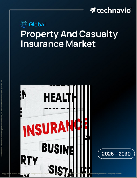 表紙：財産および損害保険の世界市場 2026年～2030年