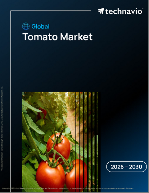 表紙：トマトの世界市場 2026年～2030年