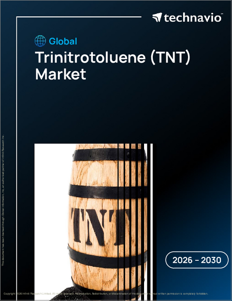 表紙：トリニトロトルエン（TNT）の世界市場 2026年～2030年