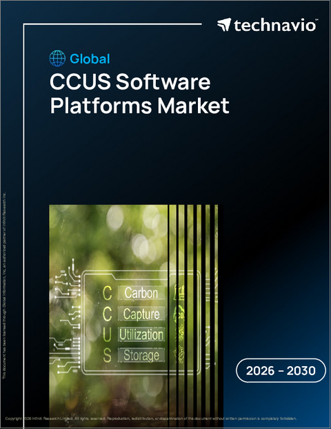 表紙：Ccusソフトウェアプラットフォームの世界市場 2026年～2030年