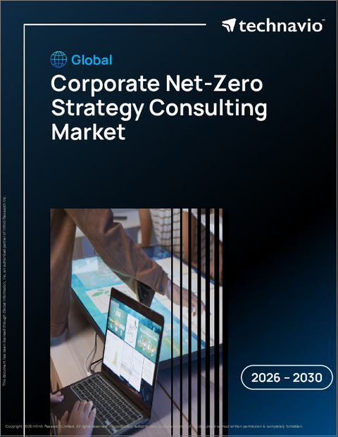 表紙：企業のネットゼロ戦略コンサルティングの世界市場 2026年～2030年