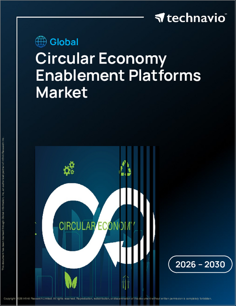 表紙：循環型経済支援プラットフォームの世界市場 2026年～2030年