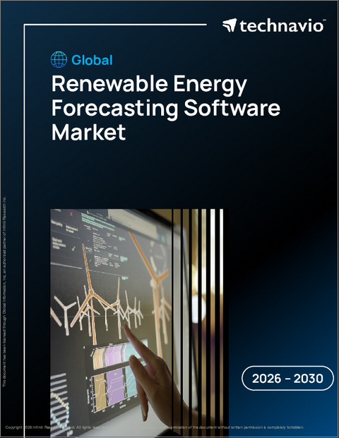 表紙:再生可能エネルギー予測ソフトウェアの世界市場 2026年~2030年