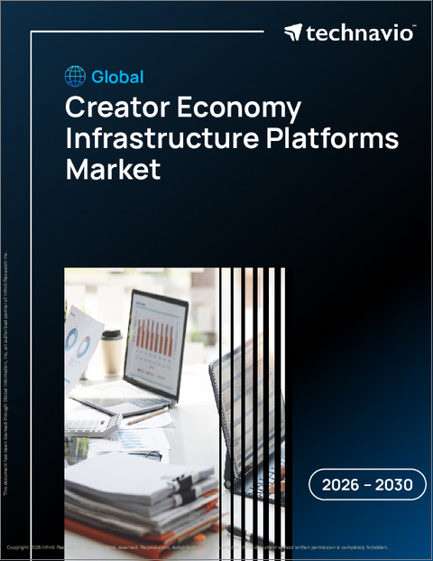 表紙：クリエイターエコノミーインフラプラットフォームの世界市場 2026年～2030年