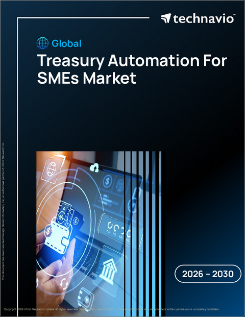 表紙：中小企業向け財務自動化の世界市場 2026年～2030年