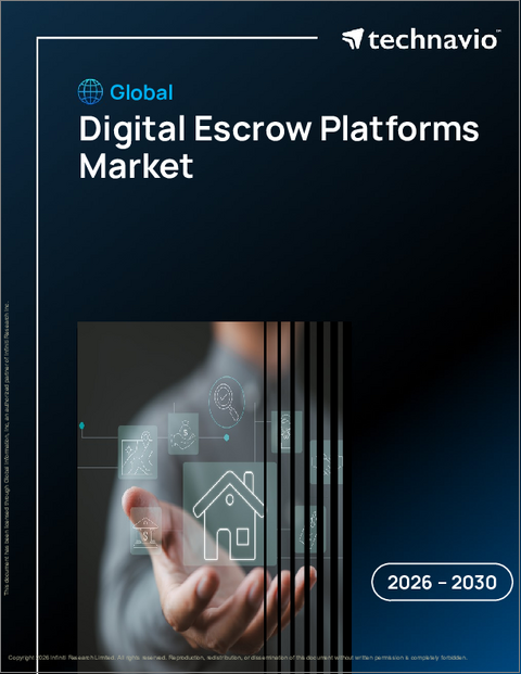 表紙：デジタルエスクロー・プラットフォームの世界市場 2026年～2030年