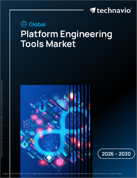 表紙：プラットフォームエンジニアリングツールの世界市場 2026年～2030年
