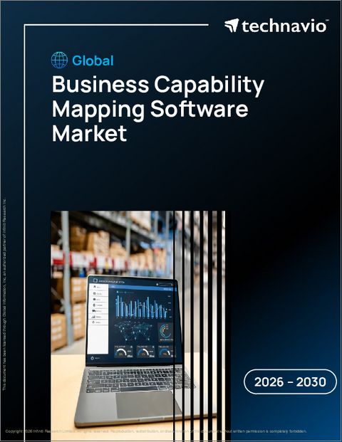 表紙：ビジネス能力マッピングソフトウェアの世界市場 2026年～2030年