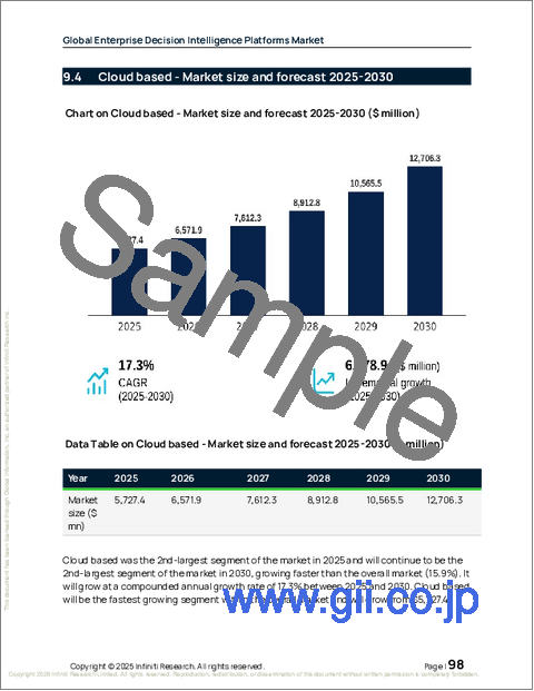 サンプル2：エンタープライズ意思決定インテリジェンスプラットフォームの世界市場 2026年～2030年