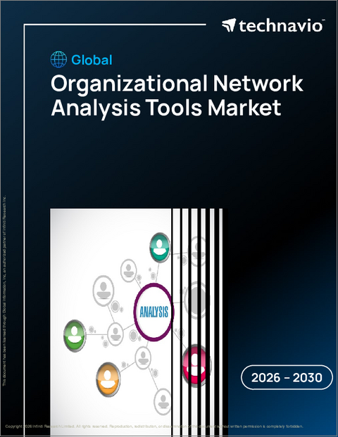 表紙：組織ネットワーク分析ツールの世界市場 2026年～2030年