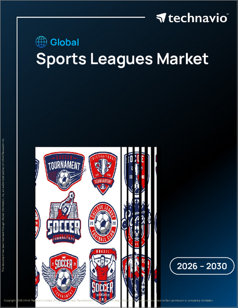 表紙：スポーツリーグの世界市場 2026年～2030年