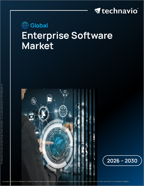 表紙：企業向けソフトウェアの世界市場 2026年～2030年