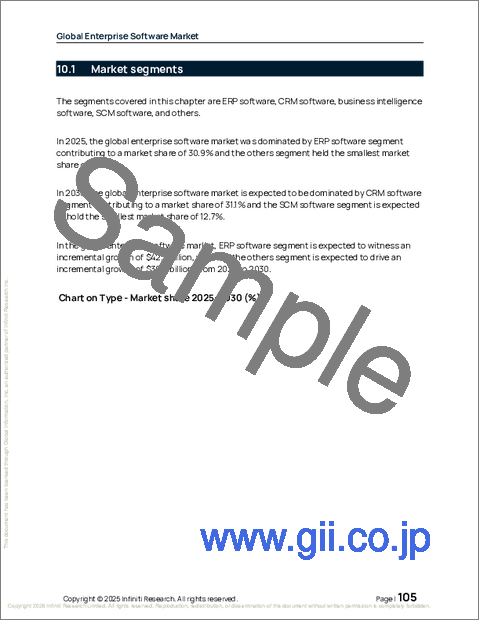 サンプル2：企業向けソフトウェアの世界市場 2026年～2030年