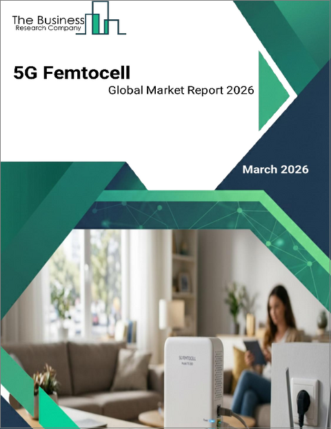 表紙：5Gフェムトセルの世界市場レポート 2026年