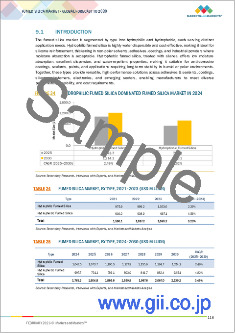 サンプル2：ヒュームドシリカの世界市場：タイプ別、用途別、最終用途産業別、地域別 - 2030年までの予測