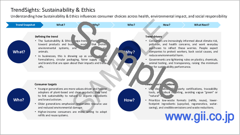サンプル2：メガトレンドの概要 - サステナビリティと倫理：TrendSights Analysis（2025年）