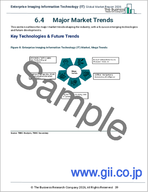 サンプル1：エンタープライズイメージング情報技術（IT）の世界市場レポート 2026年
