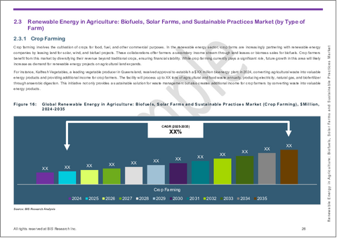 サンプル2：農業における再生可能エネルギー：バイオ燃料、太陽光発電所、持続可能な農業慣行の世界市場 - 用途・製品・地域別の分析・予測 (2025～2035年)