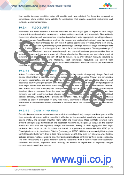 サンプル2：水処理薬品の世界市場：タイプ別、原料別、エンドユーザー別、地域別 - 予測（～2030年）