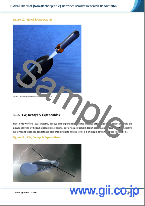 サンプル1:熱電池(非充電式)の世界市場調査レポート、2026年