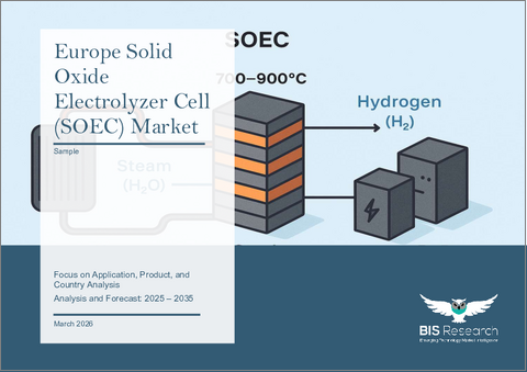 表紙：欧州の固体酸化物電解セル（SOEC）市場：用途別、製品別、国別 - 分析と予測（2025年～2035年）