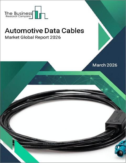 表紙：自動車用データケーブルの世界市場レポート 2026年