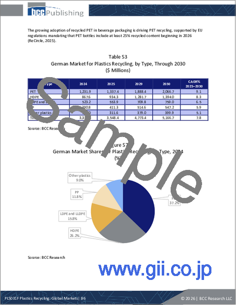 サンプル2:プラスチックリサイクル:世界市場