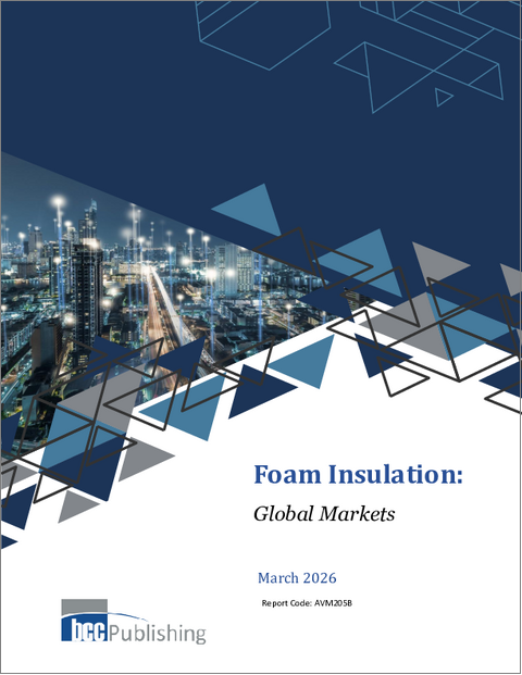 表紙：発泡断熱材：世界市場