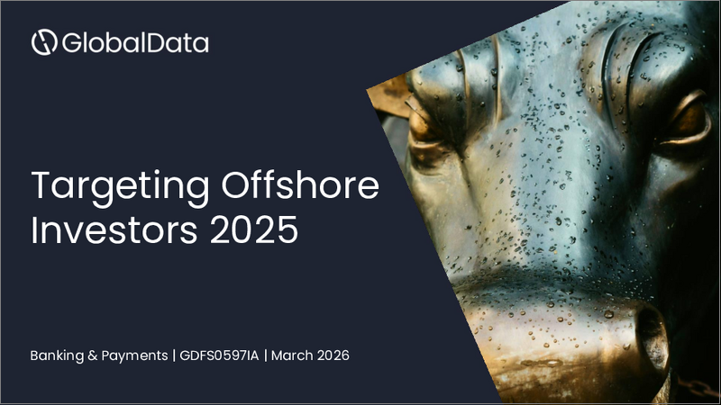 表紙:オフショア投資家のターゲティング(2025年)
