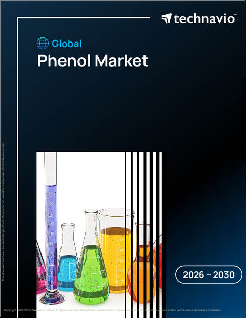 表紙：フェノールの世界市場、2026年～2030年