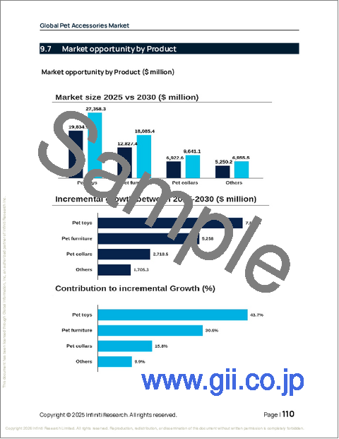 サンプル2：ペットアクセサリーの世界市場、2026年～2030年