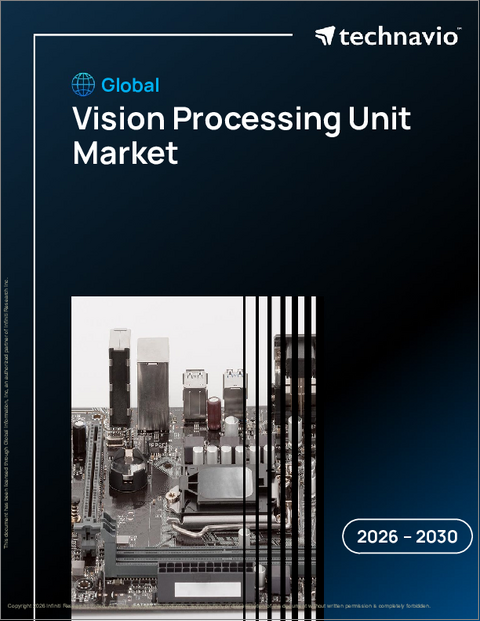 表紙：ビジョン処理ユニットの世界市場 2026年～2030年