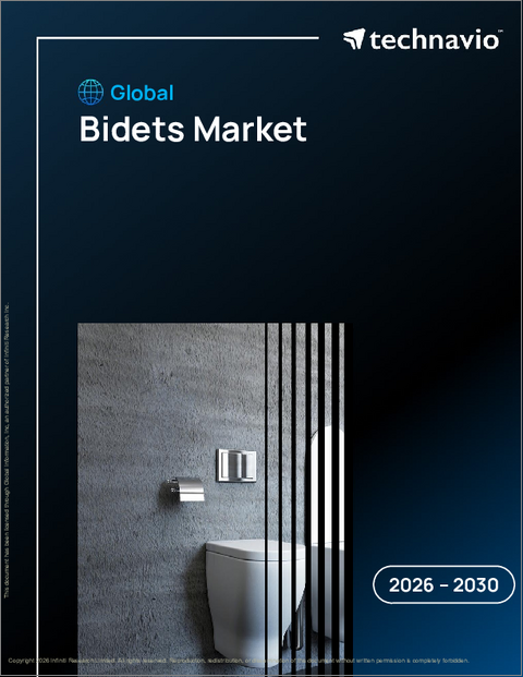 表紙：ビデの世界市場 2026年～2030年