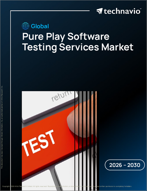 表紙：ピュアプレーソフトウェアテスティングサービスの世界市場 2026年～2030年