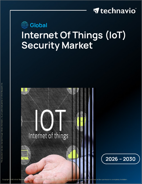 表紙：インターネット・オブ・シングス（IoT）セキュリティの世界市場 2026年～2030年