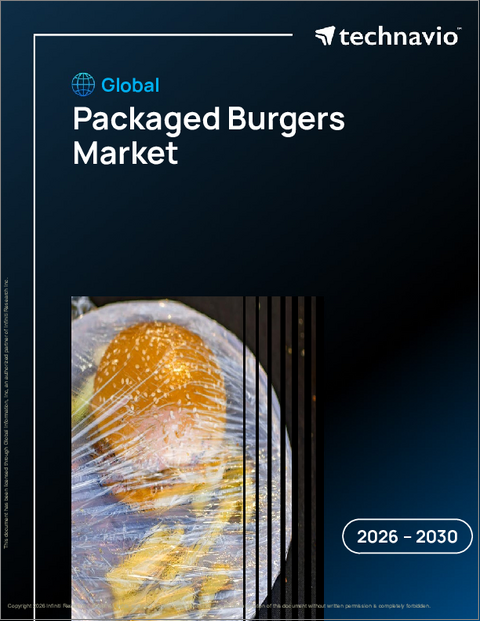 表紙：パッケージドバーガーの世界市場 2026年～2030年