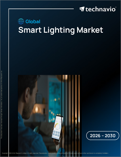 表紙：スマート照明の世界市場 2026年～2030年