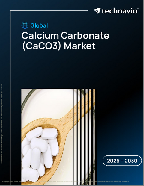 表紙：カルシウム炭酸塩（CACO3）の世界市場 2026年～2030年