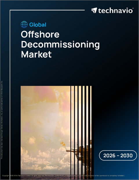 表紙：洋上廃止措置の世界市場 2026年～2030年