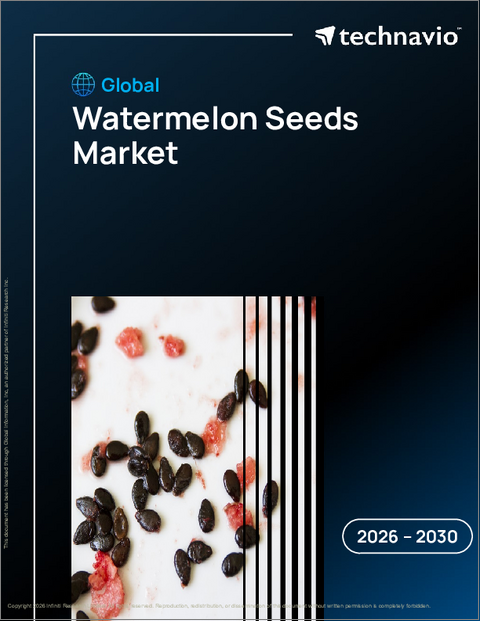 表紙：スイカの種の世界市場 2026年～2030年