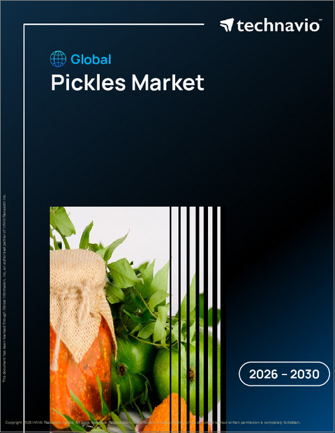 表紙：ピクルスの世界市場 2026年～2030年