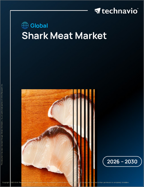 表紙：サメ肉の世界市場 2026年～2030年