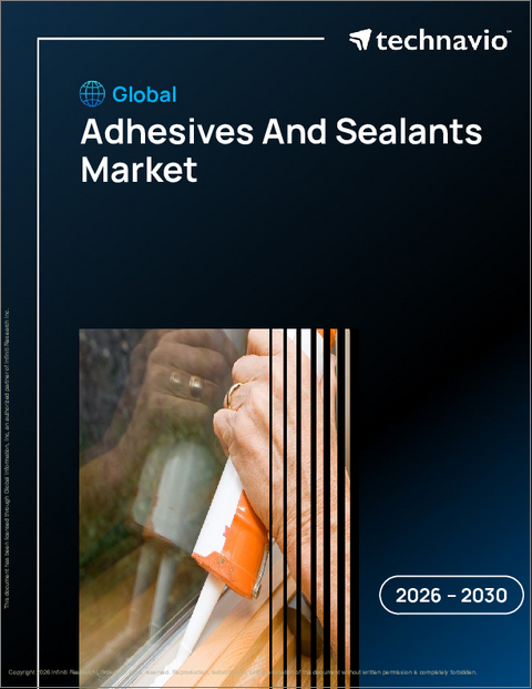表紙:接着剤とシーラントの世界市場、2026年~2030年
