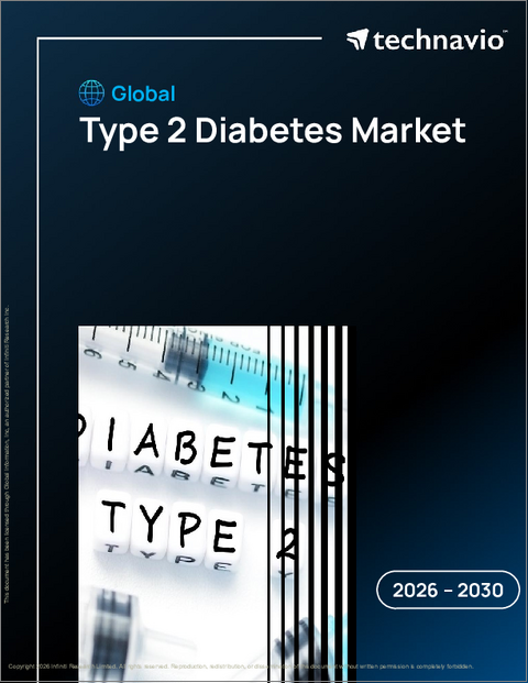 表紙:タイプ2糖尿病の世界市場 2026年~2030年