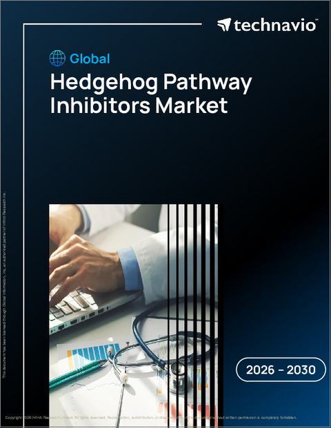 表紙:ハリネズミ経路阻害剤の世界市場 2026年~2030年