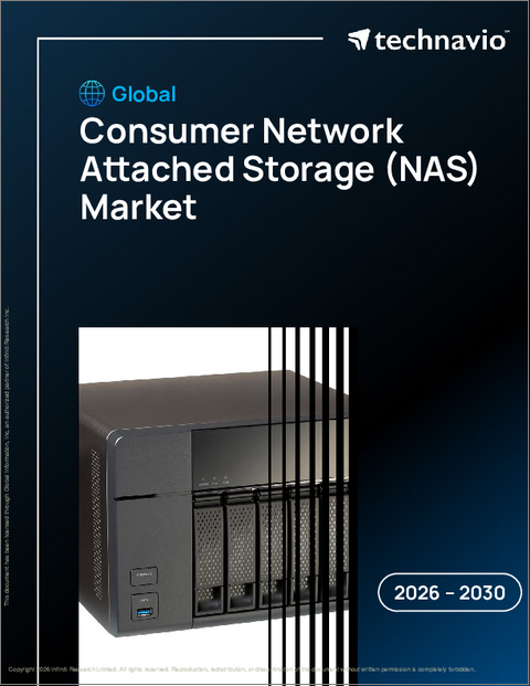 表紙:消費者向けネットワーク接続ストレージ(NAS)の世界市場 2026年~2030年