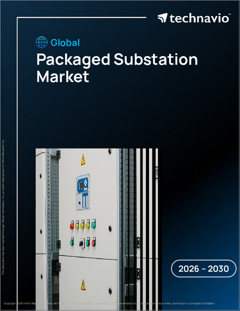 表紙：パッケージサブステーションの世界市場 2026年～2030年