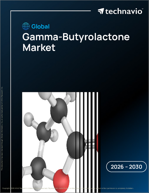 表紙:ガンマーブチロラクトンの世界市場 2026年~2030年